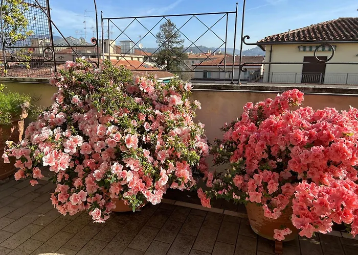 Cherubini * Florence